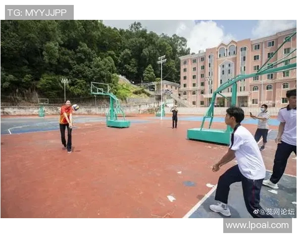 深圳排球队转型之路的真实记录与发展探索